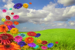 ???????????????????????????????????????????????????????????????????????